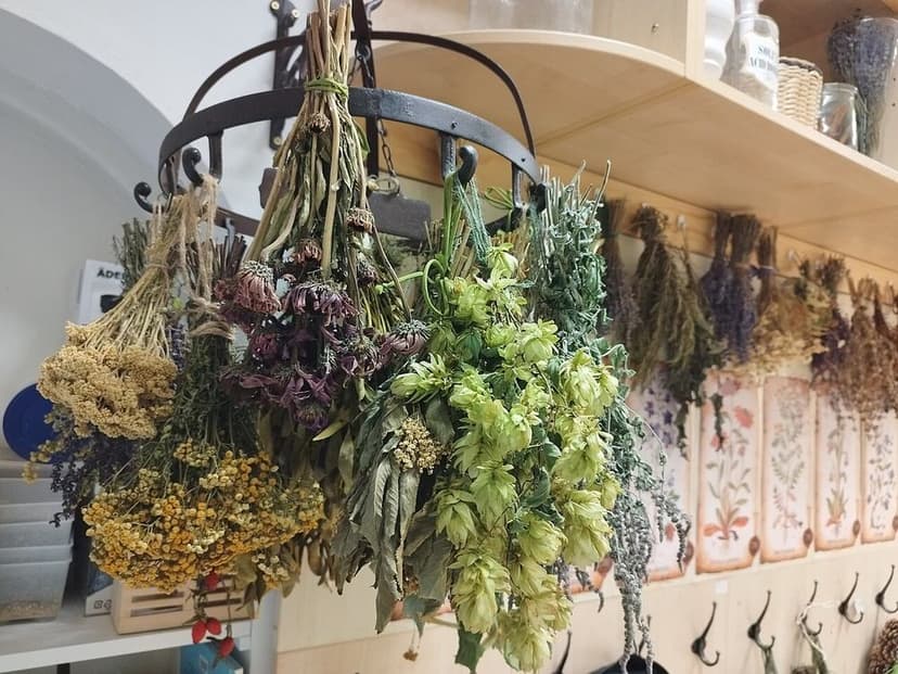 Comptoir de la boutique